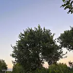 Margherita Σπίτι διακοπών Roggiano Gravina