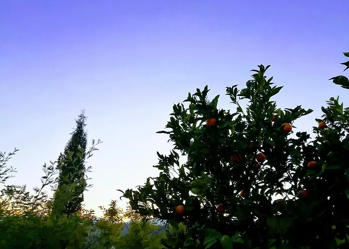 Holiday home Margherita *